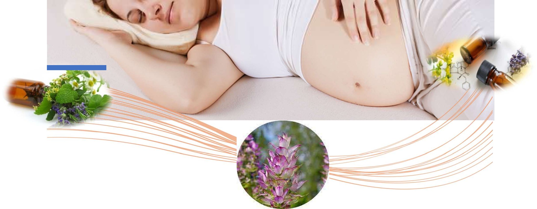 Clicca per accedere all'articolo Corso teorico/pratico "Approccio scientifico e clinico all’introduzione ed utilizzo nell’assistenza ostetrica di oli essenziali"