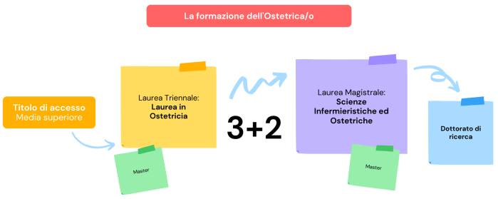 la formazione ostetrica