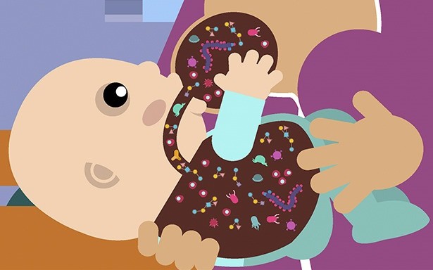 Clicca per accedere all'articolo Evento Formativo "Allattamento e Microbiota a supporto della salute di mamme e bambini/e"