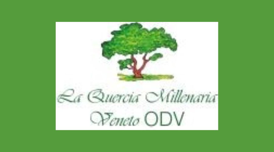 Clicca per accedere all'articolo Convegno "La scoperta dell'inaspettato: dialoghi sulla nascita ferita"